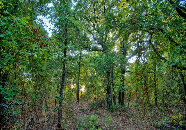 Photo 3 of Sale Pending at 0 Ten Point Rd, Nocona, TX 76255 | MLS# 21359587 | Listing updated on 2026-10-01