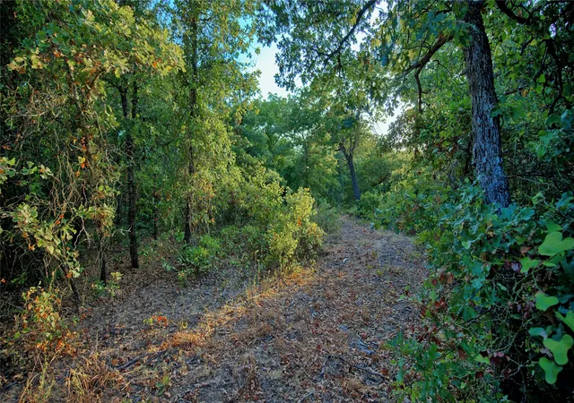 Photo 3 of Sale Pending at 0 Ten Point Rd, Nocona, TX 76255 | MLS# 21359587 | Listing updated on 2026-10-01