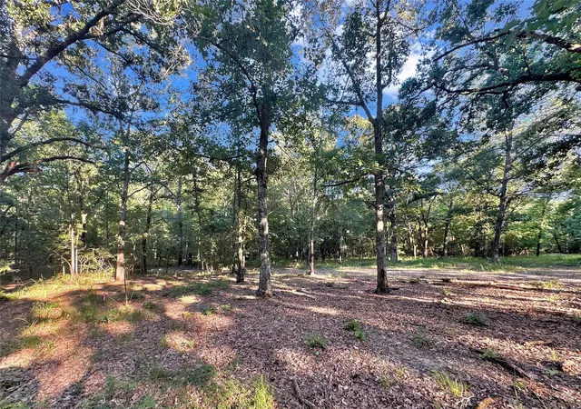 Photo 3 of Land for sale at Tbd Pr 5040 & 5041, Bogata, TX 75417 | MLS# 21360293 | Listing updated on 2026-09-01