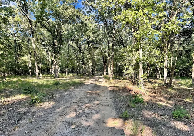 Photo 3 of Land for sale at Tbd Pr 5040 & 5041, Bogata, TX 75417 | MLS# 21360293 | Listing updated on 2026-09-01