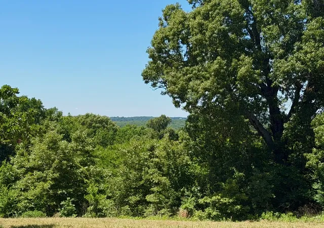 Photo 1 of Land for sale at 261 High Point Ct, Athens, TX 75752 | MLS# 21360861 | Listing updated on 2026-08-16