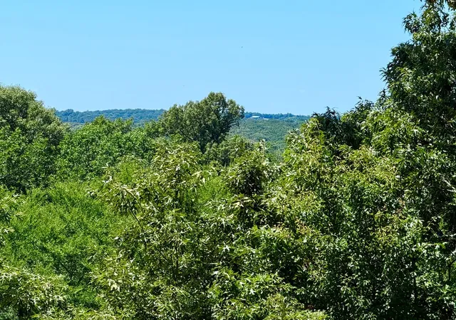 Photo 3 of Land for sale at 261 High Point Ct, Athens, TX 75752 | MLS# 21360861 | Listing updated on 2026-08-16