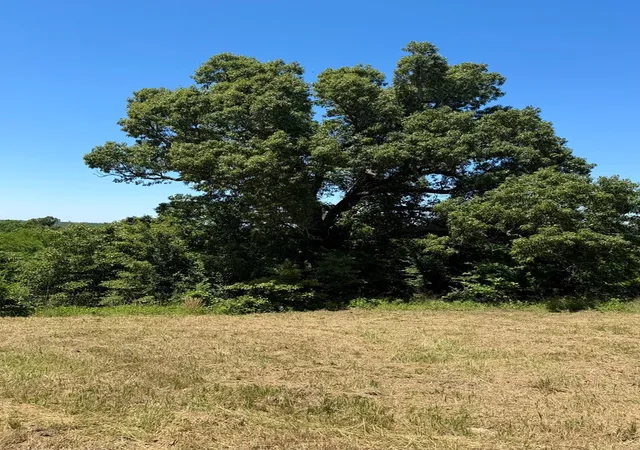 Photo 3 of Land for sale at 261 High Point Ct, Athens, TX 75752 | MLS# 21360861 | Listing updated on 2026-08-16