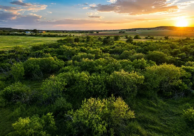 Photo 1 of Land for sale at 1448 County Road 129, Rising Star, TX 76471 | MLS# 21361052 | Listing updated on 2026-08-15