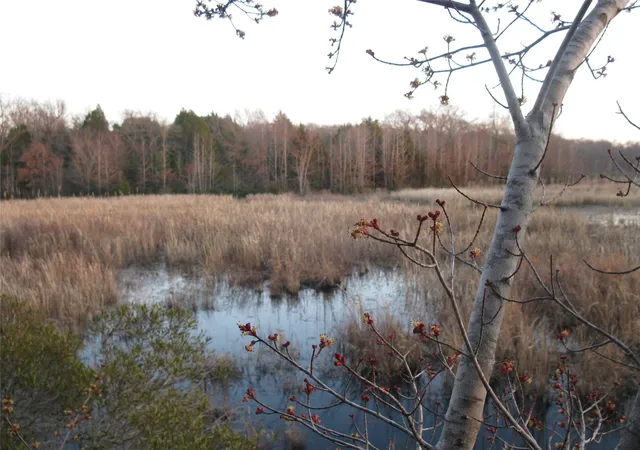 Photo 1 of Land for sale at Tbd 133 Ac +  Vz County Road 4701, Ben Wheeler, TX 75754 | MLS# 21361235 | Listing updated on 2026-08-17