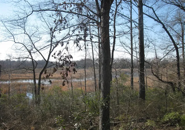 Photo 2 of Land for sale at Tbd 133 Ac +  Vz County Road 4701, Ben Wheeler, TX 75754 | MLS# 21361235 | Listing updated on 2026-08-17