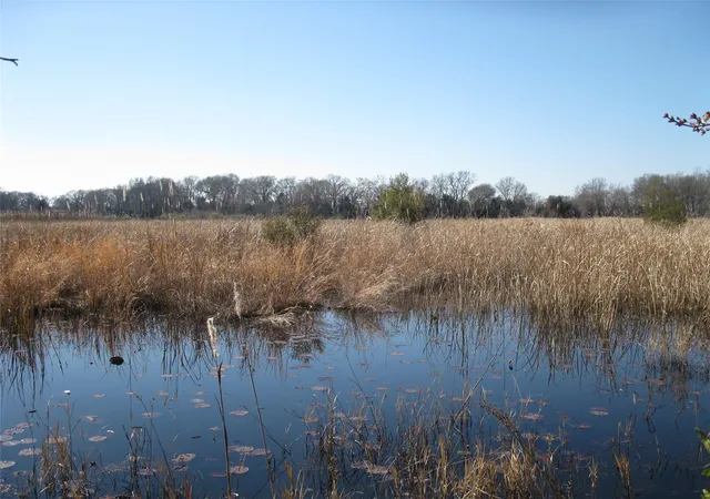 Photo 3 of Land for sale at Tbd 133 Ac +  Vz County Road 4701, Ben Wheeler, TX 75754 | MLS# 21361235 | Listing updated on 2026-08-17