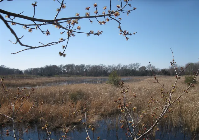 Photo 3 of Land for sale at Tbd 133 Ac +- Vz County Road 4701, Ben Wheeler, TX 75754 | MLS# 21361235 | Listing updated on 2026-08-17