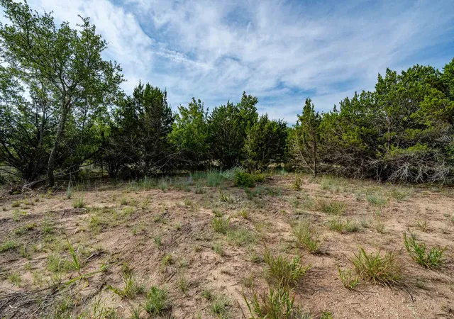 Photo 3 of Land for sale at 149 Antler Rdg, Tuscola, TX 79562 | MLS# 21361429 | Listing updated on 2026-09-26