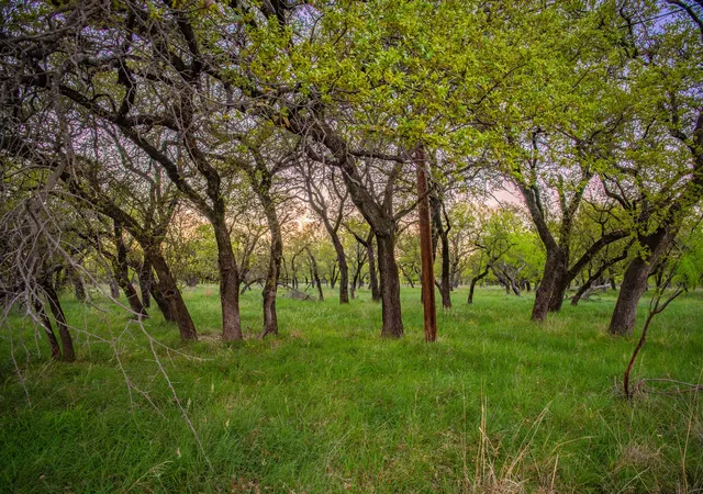 Photo 3 of Land for sale at Lot 18 Firewheel, Graford, TX 76449 | MLS# 21361487 | Listing updated on 2026-08-17