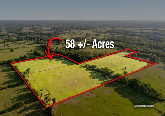 Photo 1 of Land for sale at Tbd County Road 4990, Winnsboro, TX 75494 | MLS# 21361634 | Listing updated on 2026-08-17