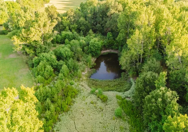 Photo 3 of Land for sale at Tbd County Road 4990, Winnsboro, TX 75494 | MLS# 21361634 | Listing updated on 2026-08-17