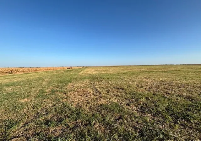 Photo 3 of Land for sale at Tbd Fm 67 Hwy, Covington, TX 76636 | MLS# 21355341 | Listing updated on 2026-08-18