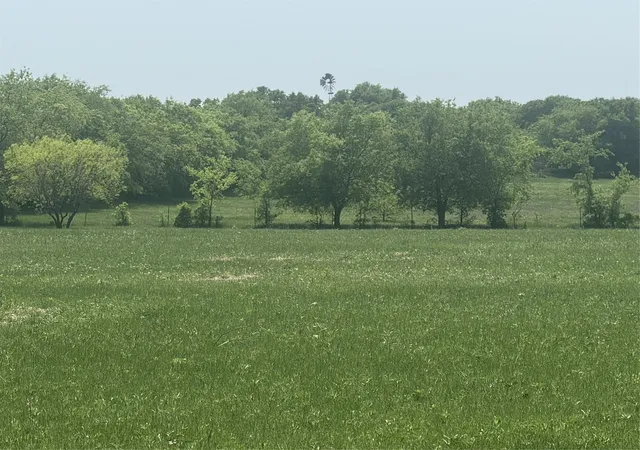 Photo 3 of Land for sale at 340 Private Road 4512, Decatur, TX 76234 | MLS# 21361722 | Listing updated on 2026-08-17