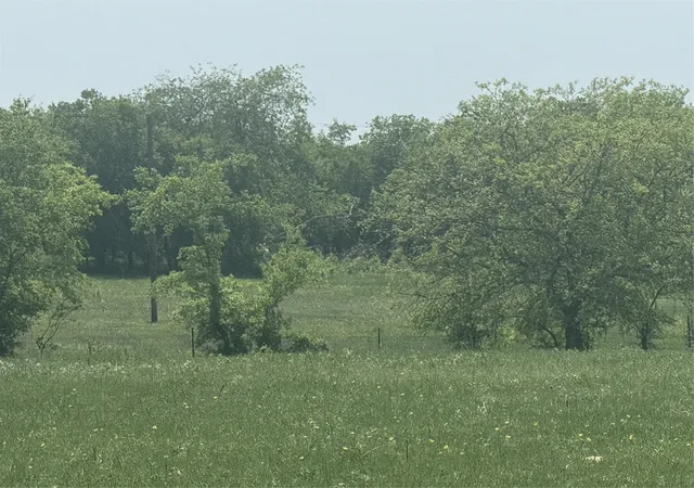 Photo 3 of Land for sale at 340 Private Road 4512, Decatur, TX 76234 | MLS# 21361722 | Listing updated on 2026-08-17