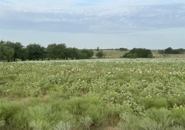 Photo 4 of Land for sale at 340 Private Road 4512, Decatur, TX 76234 | MLS# 21361722 | Listing updated on 2026-08-17