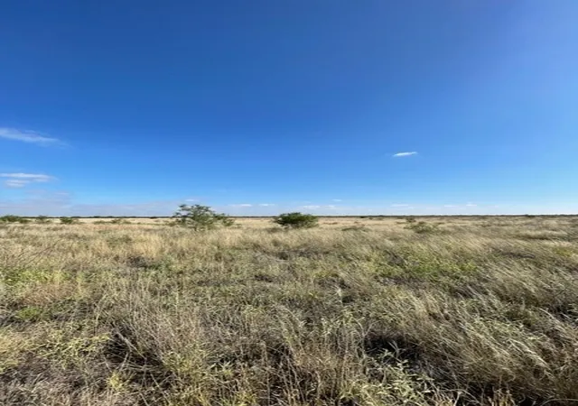 Photo 2 of Land for sale at Tbd Fm 2279, Rule, TX 79521 | MLS# 21355932 | Listing updated on 2026-08-18