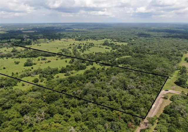 Photo 2 of Land for sale at 1 Cr 411, Buffalo, TX 75831 | MLS# 21361824 | Listing updated on 2026-08-18