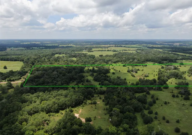 Photo 2 of Land for sale at 1 Cr 411, Buffalo, TX 75831 | MLS# 21361824 | Listing updated on 2026-08-18