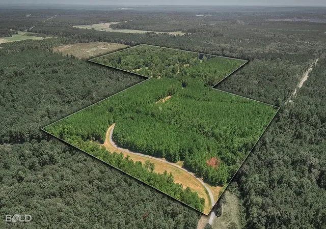 Photo 3 of Land for sale at 2055 Sloan Rd, Mansfield, LA 71052 | MLS# 21354168 | Listing updated on 2026-08-18
