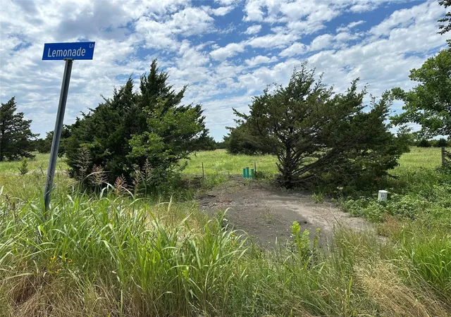 Photo 2 of Land for sale at 2641 Lemonade Ln, Farmersville, TX 75442 | MLS# 21362254 | Listing updated on 2026-08-25