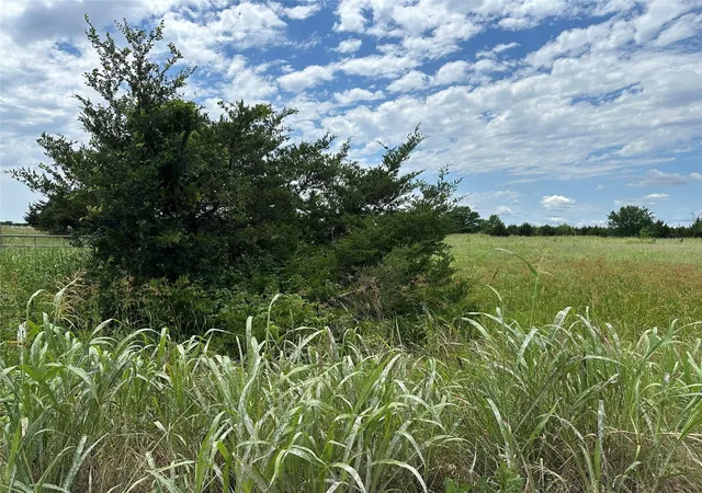Photo 3 of Land for sale at 2641 Lemonade Ln, Farmersville, TX 75442 | MLS# 21362254 | Listing updated on 2026-08-25