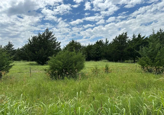 Photo 4 of Land for sale at 2641 Lemonade Ln, Farmersville, TX 75442 | MLS# 21362254 | Listing updated on 2026-08-25