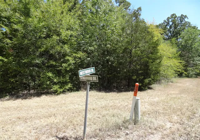 Photo 2 of Sale Pending at Lot 113 Westwood Dr, Trinidad, TX 75163 | MLS# 21362148 | Listing updated on 2026-09-23