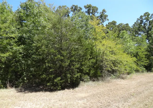 Photo 3 of Sale Pending at Lot 113 Westwood Dr, Trinidad, TX 75163 | MLS# 21362148 | Listing updated on 2026-09-23