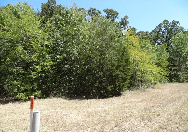 Photo 4 of Sale Pending at Lot 113 Westwood Dr, Trinidad, TX 75163 | MLS# 21362148 | Listing updated on 2026-09-23