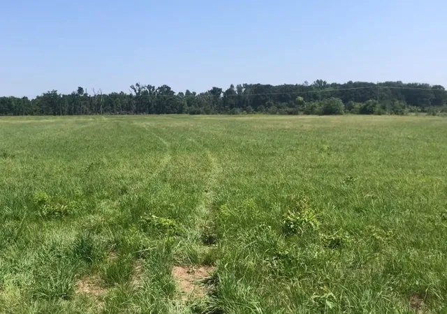 Photo 3 of Land for sale at 560 W Fm 71, Mount Pleasant, TX 75455 | MLS# 21362454 | Listing updated on 2026-08-20