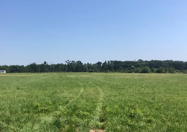 Photo 3 of Land for sale at 560 W Fm-71, Mount Pleasant, TX 75455 | MLS# 21362454 | Listing updated on 2026-08-20