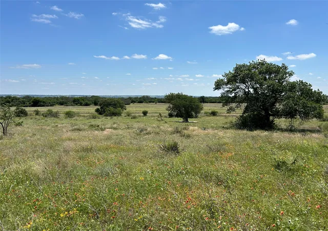 Photo 4 of Single family home for sale at Tbd Fm 2005, Goldthwaite, TX 76844 | MLS# 21362452 | Listing updated on 2026-08-18