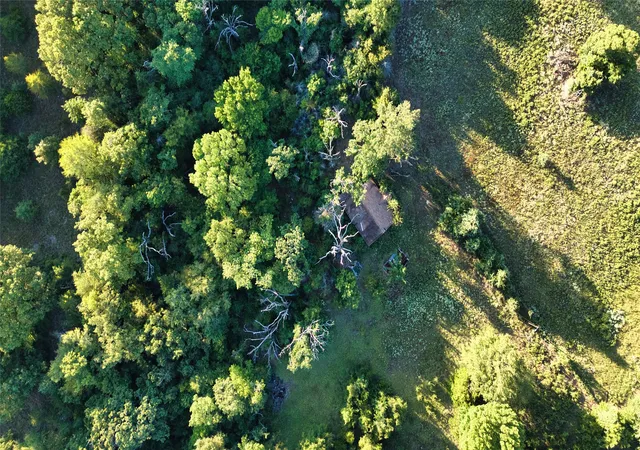 Photo 2 of Land for sale at 0 0 An County Road 2605, Tennessee Colony, TX 75861 | MLS# 21346538 | Listing updated on 2026-08-26