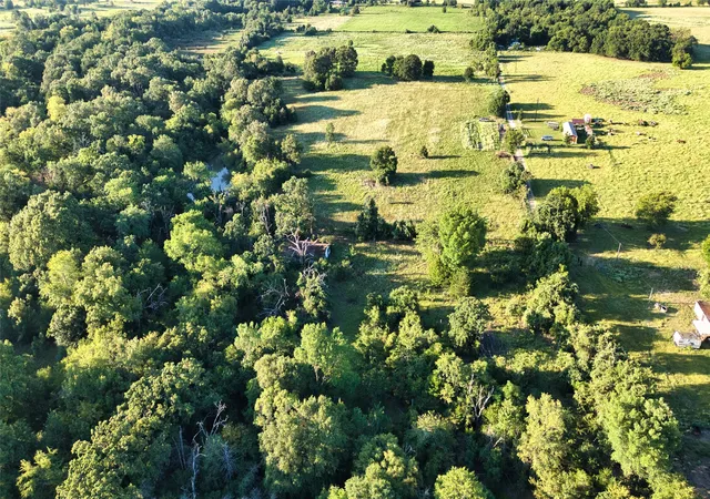 Photo 5 of Land for sale at 0 0 An County Road 2605, Tennessee Colony, TX 75861 | MLS# 21346538 | Listing updated on 2026-08-26