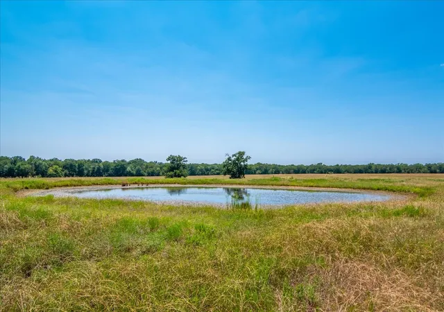 Photo 1 of Land for sale at Tbd Hwy 34, Ladonia, TX 75449 | MLS# 21362516 | Listing updated on 2026-08-18