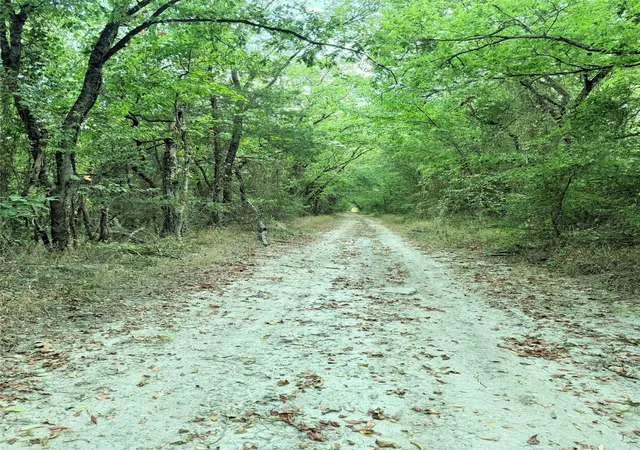 Photo 1 of Land for sale at 6343 County Road 4727, Wolfe City, TX 75496 | MLS# 21362097 | Listing updated on 2026-08-27