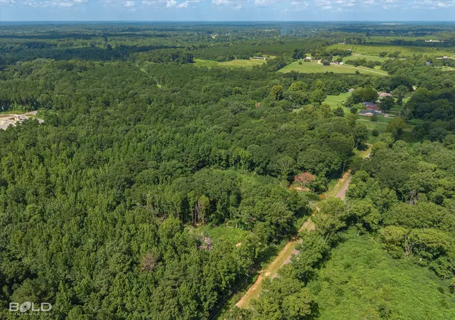 Photo 2 of Land for sale at 0 Bledsoe, Keithville, LA 71047 | MLS# 21362030 | Listing updated on 2026-08-19