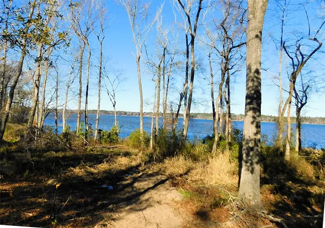 Photo 14 of Land for sale at 3126 Shadow Pine Dr, Larue, TX 75770 | MLS# 21362527 | Listing updated on 2026-08-18