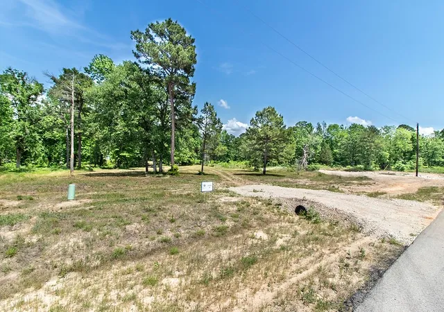 Photo 2 of Land for sale at 3126 Shadow Pine Dr, Larue, TX 75770 | MLS# 21362527 | Listing updated on 2026-08-18