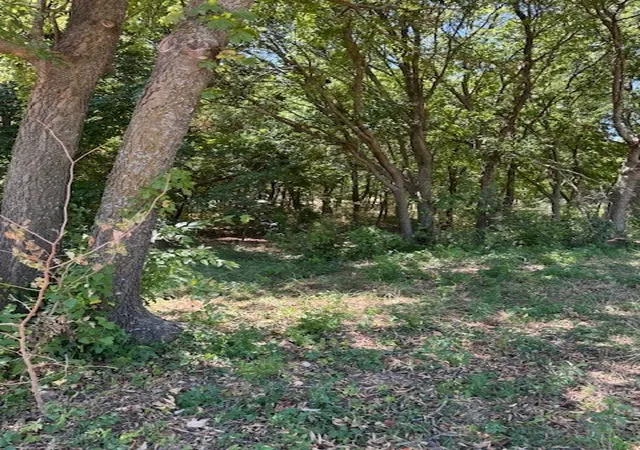 Photo 4 of Land for sale at 408 Muskingum Rd, Waxahachie, TX 75165 | MLS# 21362472 | Listing updated on 2026-08-19