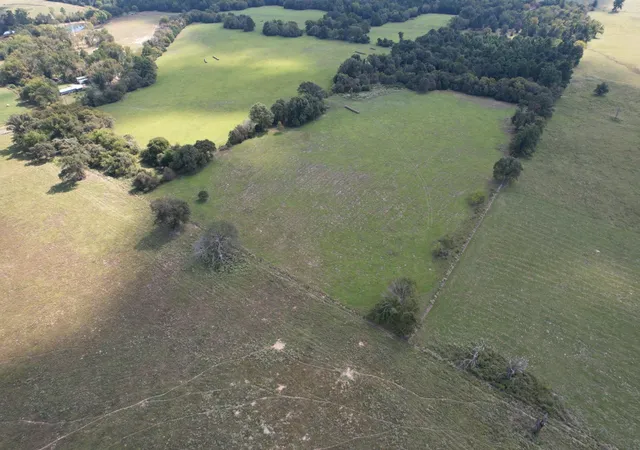 Photo 17 of Land for sale at Tbd Cr 435, Frankston, TX 75763 | MLS# 21362774 | Listing updated on 2026-08-18