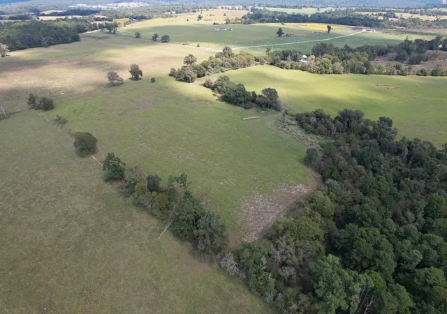 Photo 2 of Land for sale at Tbd Cr 435, Frankston, TX 75763 | MLS# 21362774 | Listing updated on 2026-08-18