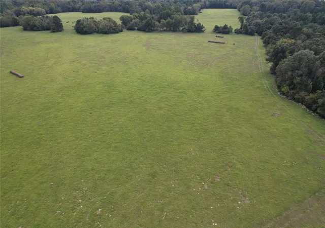 Photo 3 of Land for sale at Tbd Cr 435, Frankston, TX 75763 | MLS# 21362774 | Listing updated on 2026-08-18