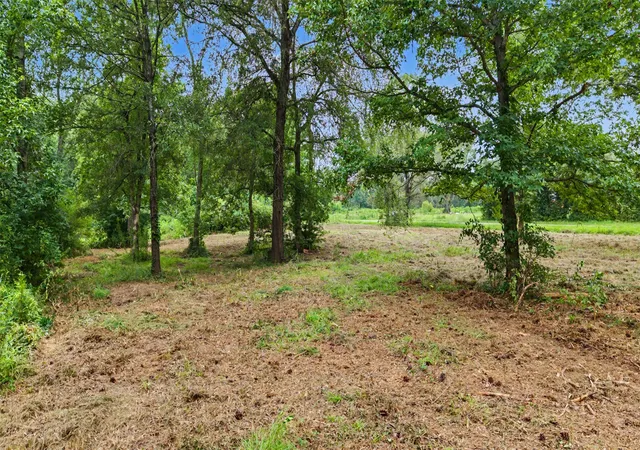 Photo 3 of Land for sale at Tbd Hazelwood Dr, Naples, TX 75568 | MLS# 21362775 | Listing updated on 2026-08-18