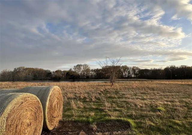 Photo 3 of Land for sale at 3950 Fm 47, Wills Point, TX 75169 | MLS# 21362811 | Listing updated on 2026-08-20