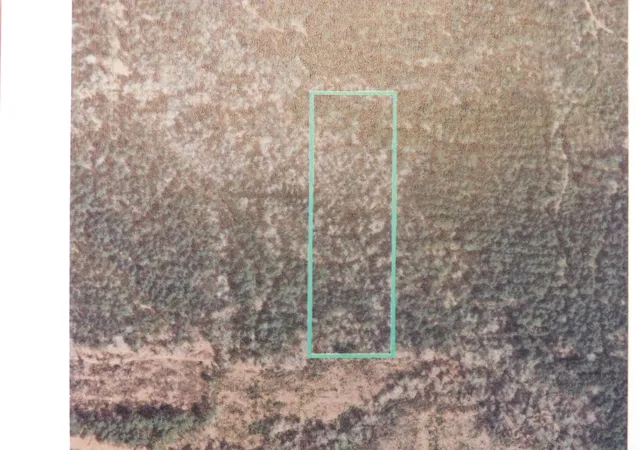 Photo 1 of Land for sale at 0 Youngblood Rd, Athens, LA 71003 | MLS# 21362860 | Listing updated on 2026-08-18