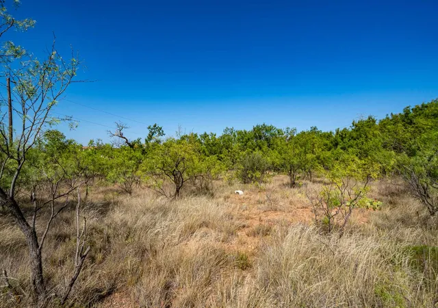 Photo 2 of Land for sale at Tbd Fm 3034, Abilene, TX 79601 | MLS# 21362976 | Listing updated on 2026-09-24