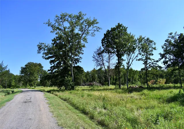 Photo 3 of Land for sale at 146 Jake Ln, Sulphur Springs, TX 75482 | MLS# 21360934 | Listing updated on 2026-08-19
