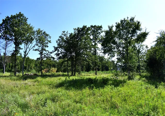 Photo 4 of Land for sale at 146 Jake Ln, Sulphur Springs, TX 75482 | MLS# 21360934 | Listing updated on 2026-08-19
